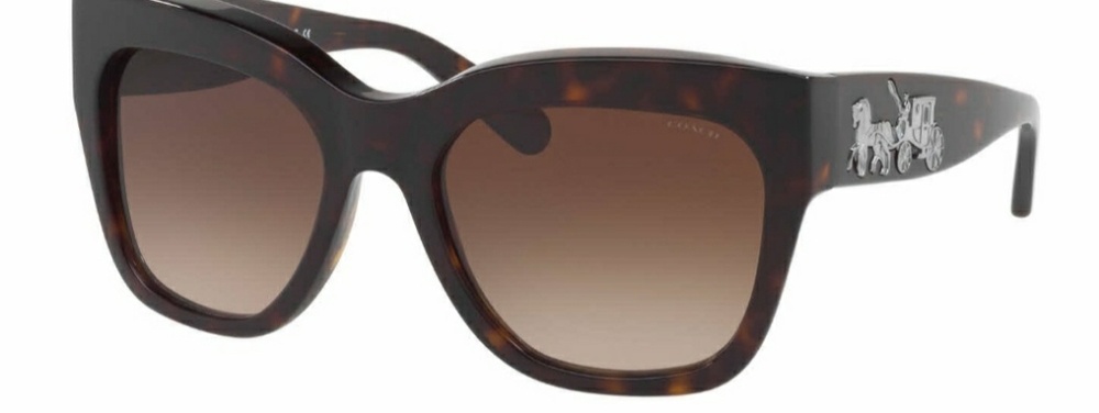 COACH HC 8213 Sunglasses